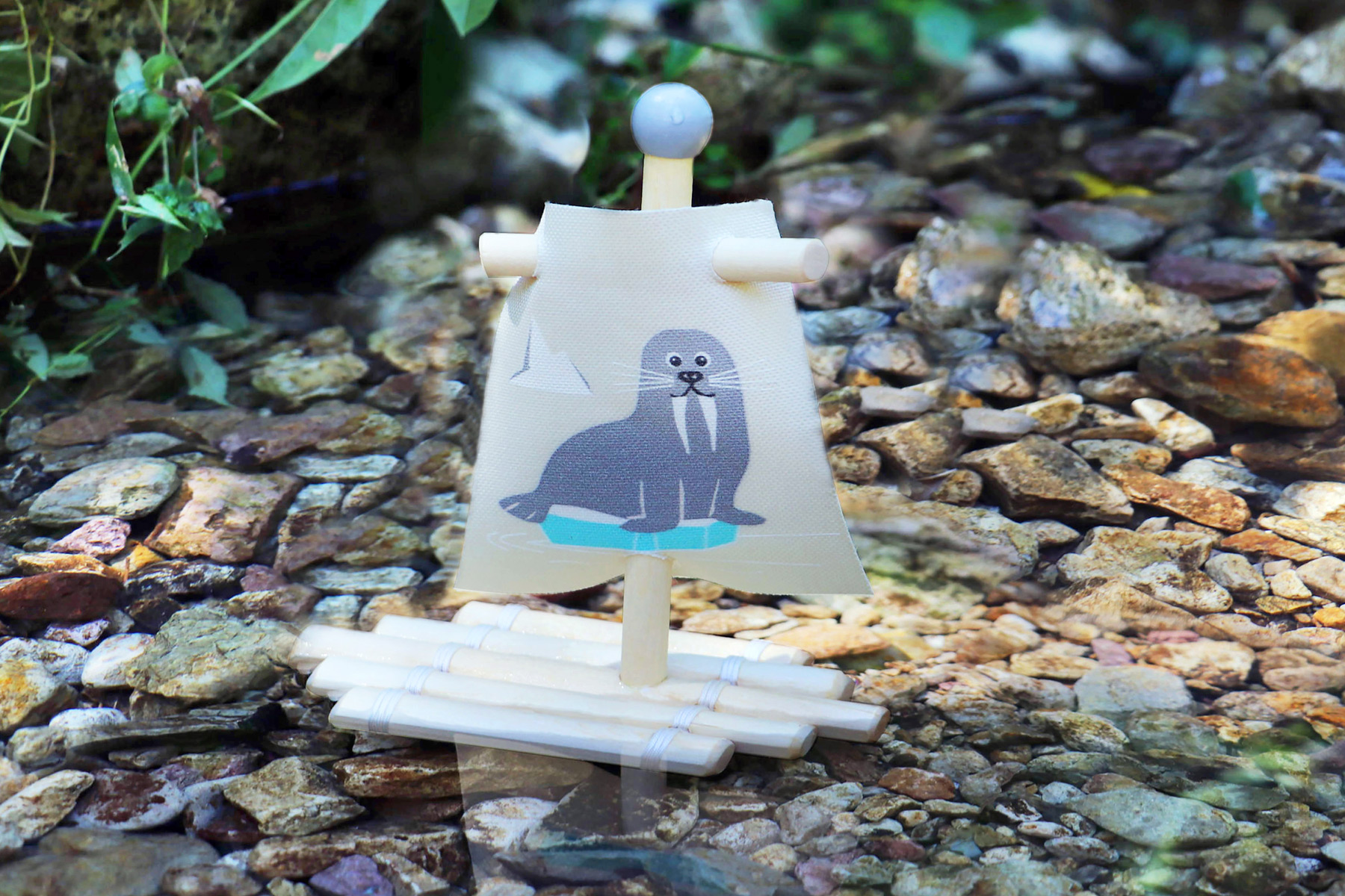 11660_legler_small_foot_wasserspielzeug_floss_Walross_f_20201214