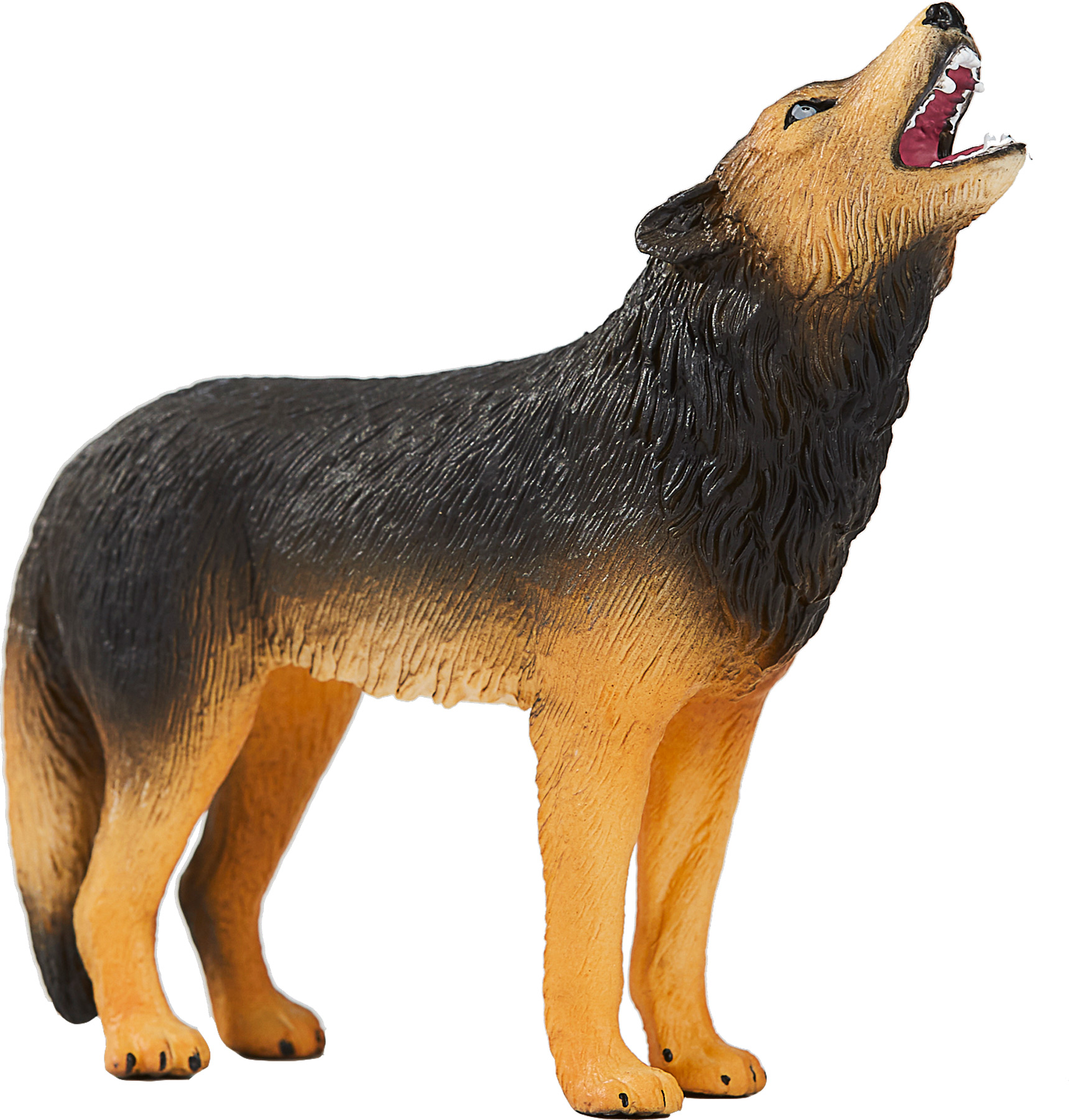 Animal Planet Loup hurlant Animal Planet Loup hurlant