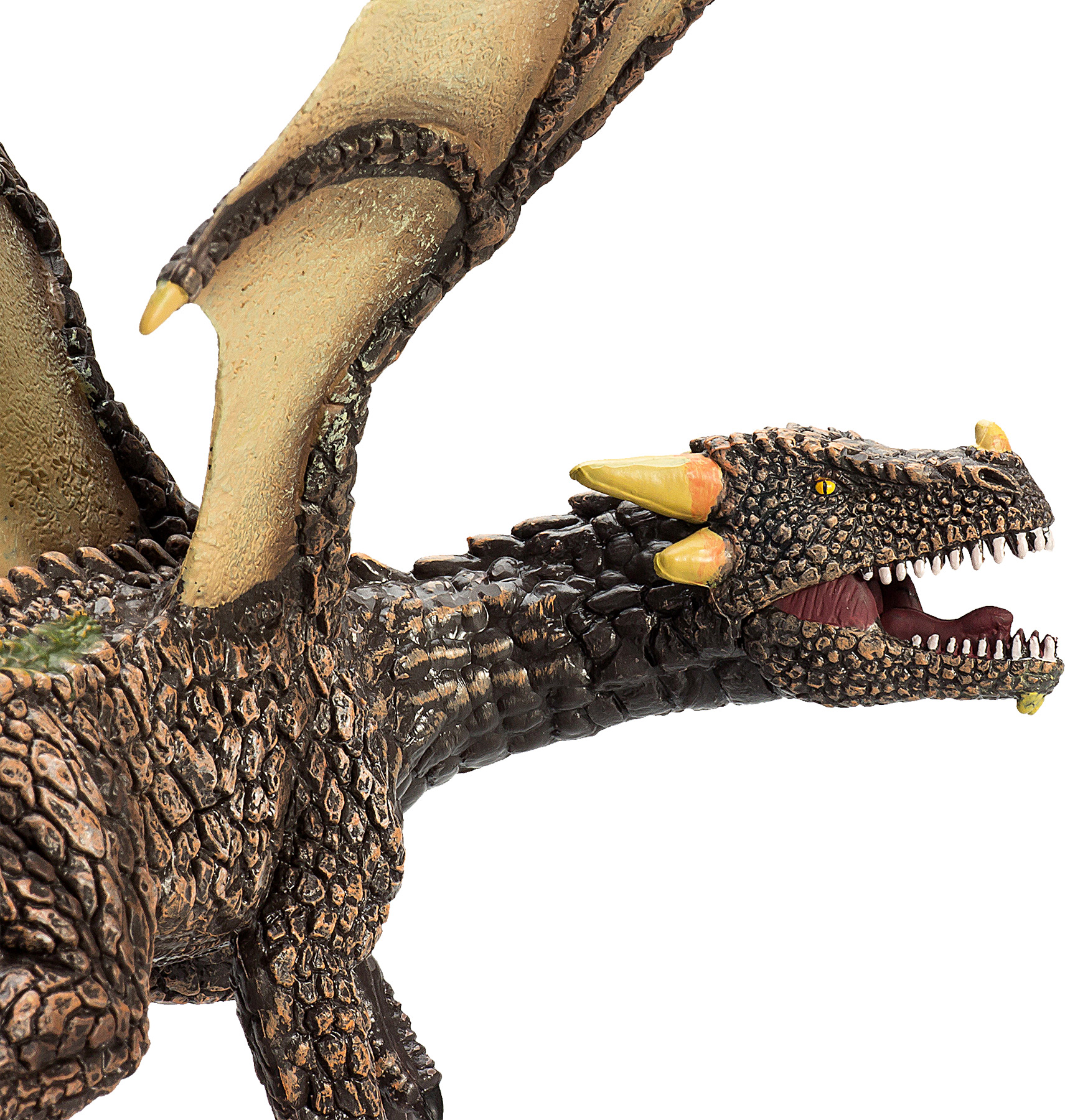Animal Planet  Dragon de terre Animal Planet  Dragon de terre