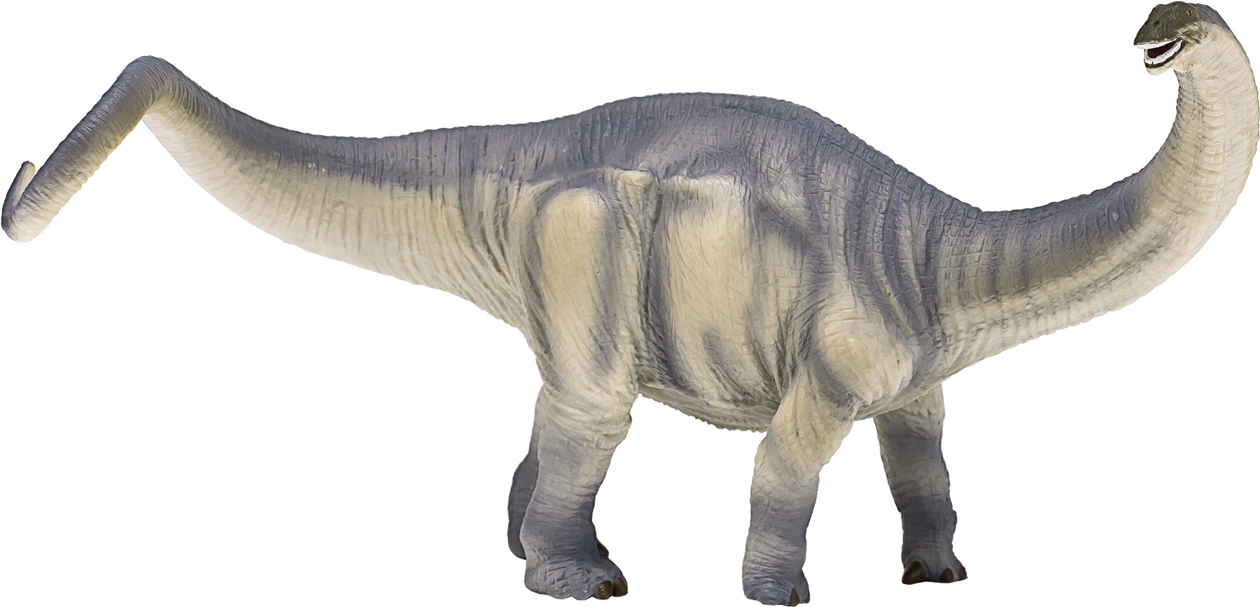 Animal Planet Brontosaure Animal Planet Brontosaure