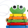 Xylophone Grenouille